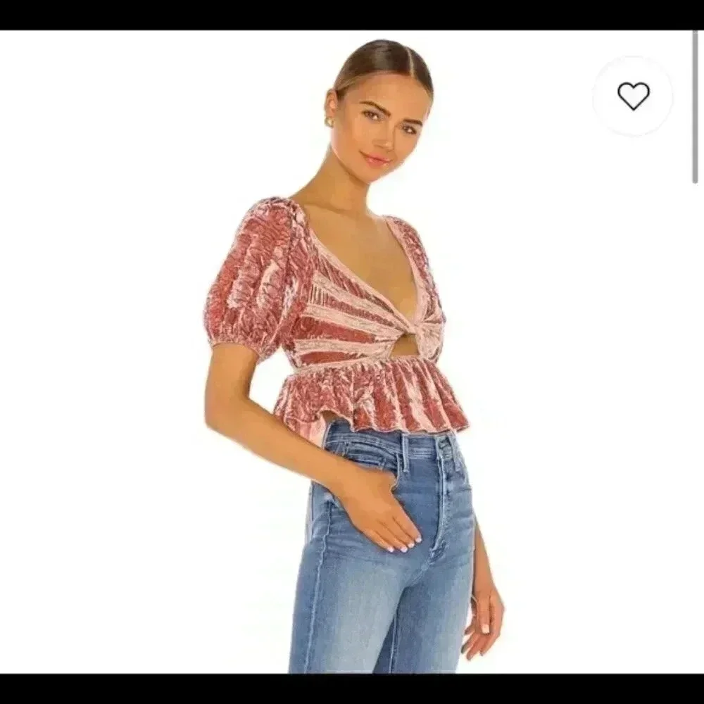 Free People Yours Truly Velvet Crop Top Mauve Crushed Velvet XS